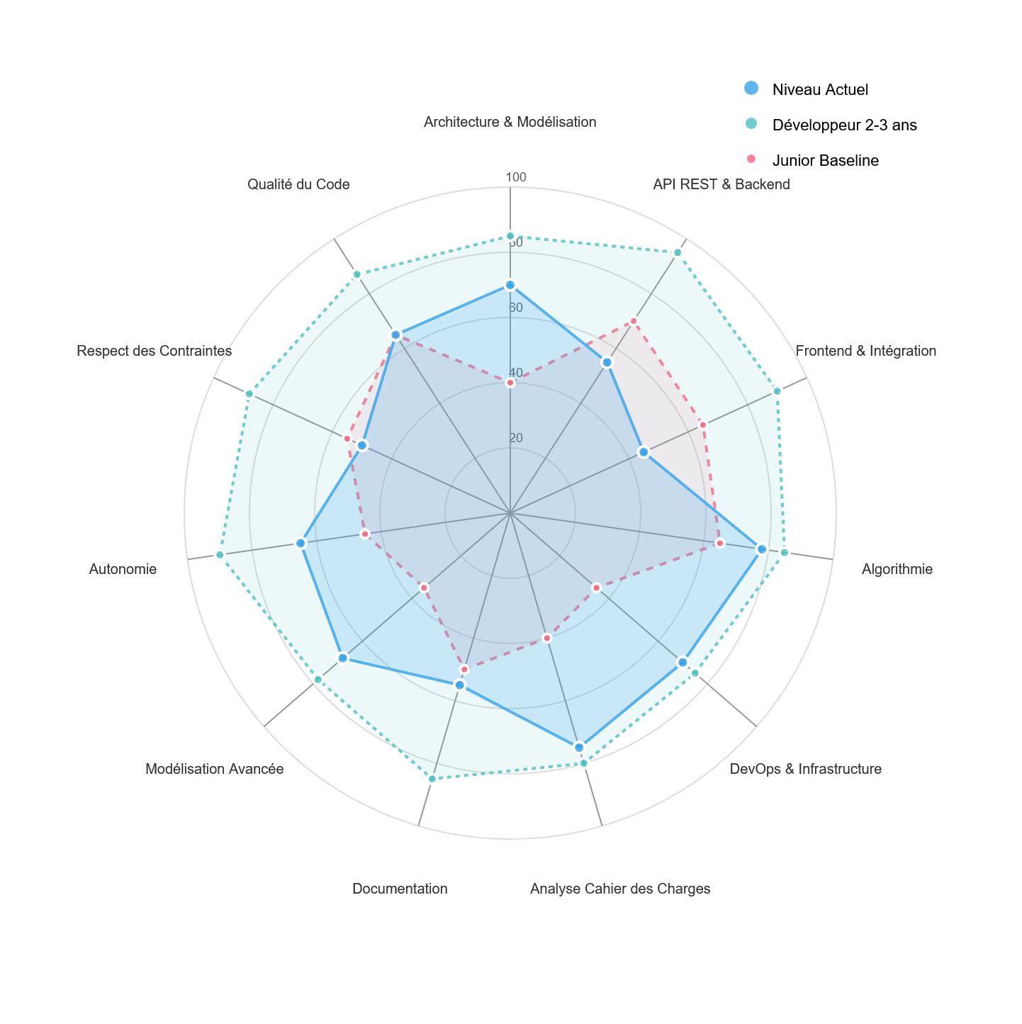 Radar Chart des Compétences